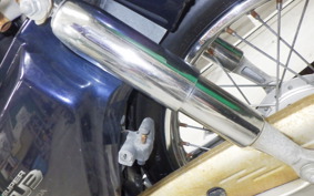 HONDA C110 SUPER CUB 2020 JA10