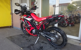 HONDA CRF250 RALLY MD44