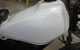 YAMAHA TW225 2007 DG09J