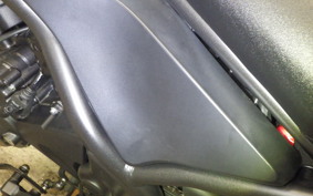 HONDA REBEL 250 2006 MC49