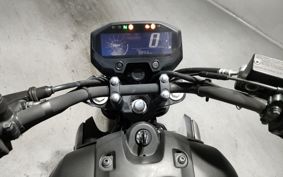 YAMAHA FZ-X150 RG73