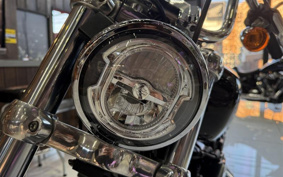 HARLEY FXST1340-1450 2020 BVJ
