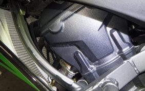 KAWASAKI NINJA 1000 SX 2024 ZXT02K