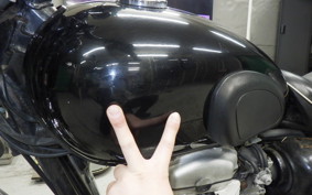 KAWASAKI W400 2007 EJ400A