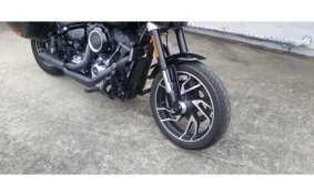 HARLEY FLSB 2019 YMJ