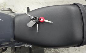 YAMAHA XSR900 GP 2024 RN96J