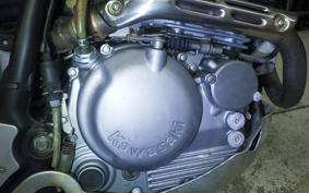 KAWASAKI SUPER SHERPA 2019 KL250G