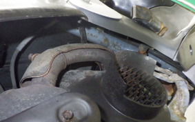 HONDA JOKER 90 HF09