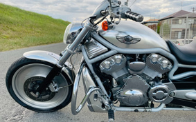 HARLEY VRSCA 2003 HAZ
