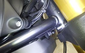 DUCATI SCRAMBLER 1100 S 2020
