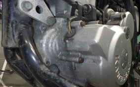 KAWASAKI KLX250 2025 LX250E