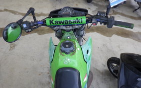 KAWASAKI KDX250SR DX250F