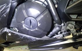 KAWASAKI NINJA 250 EX250L