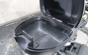 SUZUKI STROM 250ABS DS11A