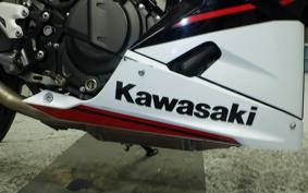 KAWASAKI NINJA 250 EX250P