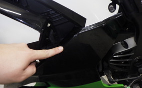 KAWASAKI NINJA 250R 2022 EX250K