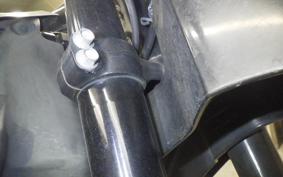 HONDA CRF250M 2007 MD38