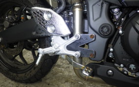 YAMAHA YZF-R25 A 1999 RG43J