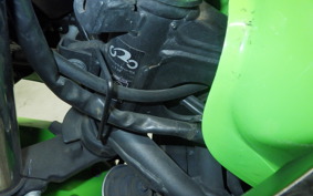 KAWASAKI NINJA 250 2010 EX250L