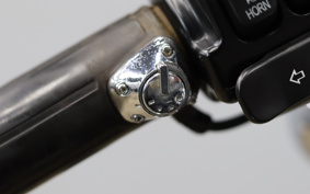 HARLEY FXDL 2013 GN4
