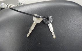 YAMAHA DRAGSTAR 250 2024 VG02J