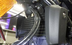 BMW R12 2024