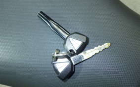 KAWASAKI NINJA 250 2010 EX250P