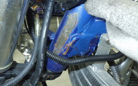 HONDA MONKEY 2025 Z50J