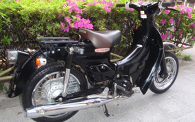 HONDA LITTLE CUB AA01