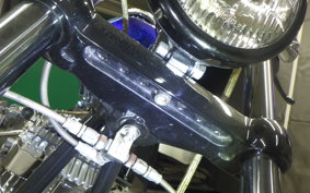 OTHER +UNREGISTERED MODEL by BDS1310 1998