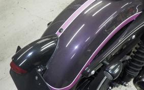 OTHER +HD. XL1200X 2010