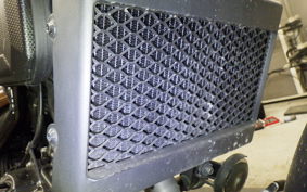 HONDA REBEL 250 2018 MC49