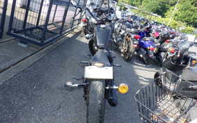 OTHER UNREGISTERED MODEL by BDS250