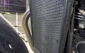 TRIUMPH BONNEVILLE STREET CUP 2017