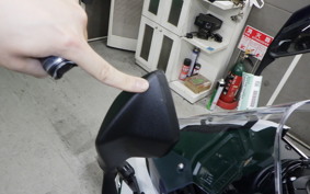 KAWASAKI NINJA 1100SX 2026 ZXT10H