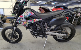 KAWASAKI KLX125D TRACKER X LX250V