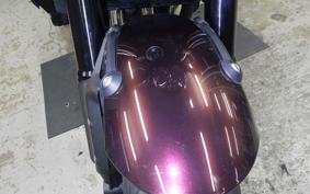 KAWASAKI Z900RS 2025 ZR900K