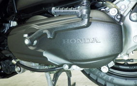 HONDA ﾀﾞﾝｸ 2026 AF78