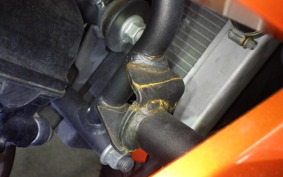 KAWASAKI NINJA 250 EX250L