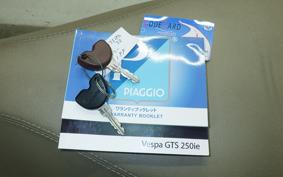 VESPA GTS250IE 2008
