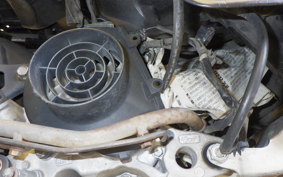 HONDA BENLY 50 AA03