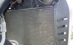 HONDA HAWK 11 2022 SC85