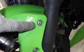 KAWASAKI NINJA 250 SL 2008 BX250A