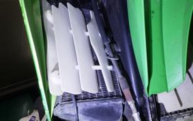 KAWASAKI KLX250 2025 LX250E