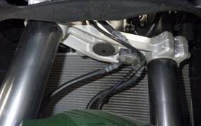 KAWASAKI NINJA 1000 A 2019 ZXT00W