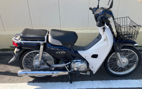 HONDA SUPER CUB110 JA10
