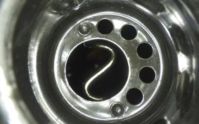 HARLEY FXLR1750 2018