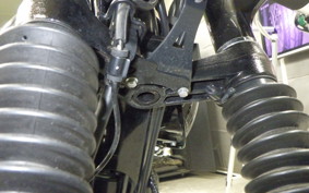 KAWASAKI W800 STREET 2022 EJ800E