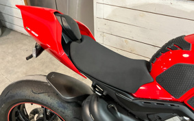DUCATI PANIGA-REV4S 2019 DA00J