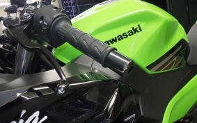 KAWASAKI NINJA 250 2
